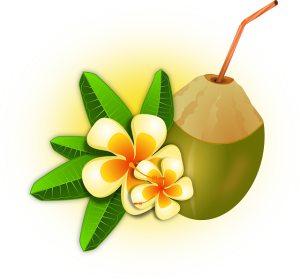 実はココナッツシュガーは実から精製されるものではなく、ココナッツの”花”から摂れるのだそうです