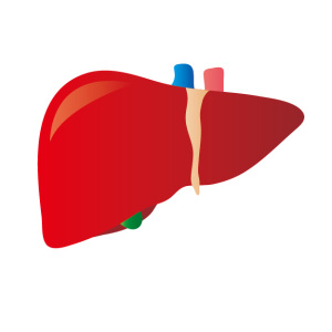 体がむくむむくみと肝臓の関係肝臓障害