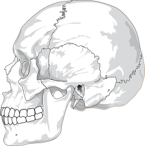 脳腫瘍は頭蓋骨の中に良性または悪性の腫瘍ができてしまうこと
