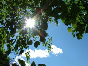 日光浴の効果と紫外線への誤解