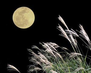 十五夜にはのんびりと月を眺めて過ごしてみてはいかが？