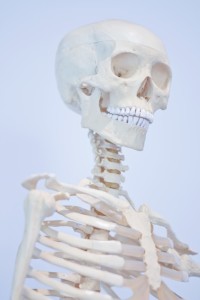 身体を支える「骨」を作る栄養素　カルシウム