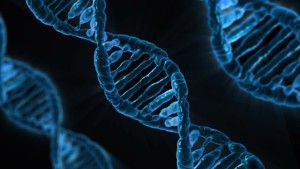 DNA鑑定ってなんですか？